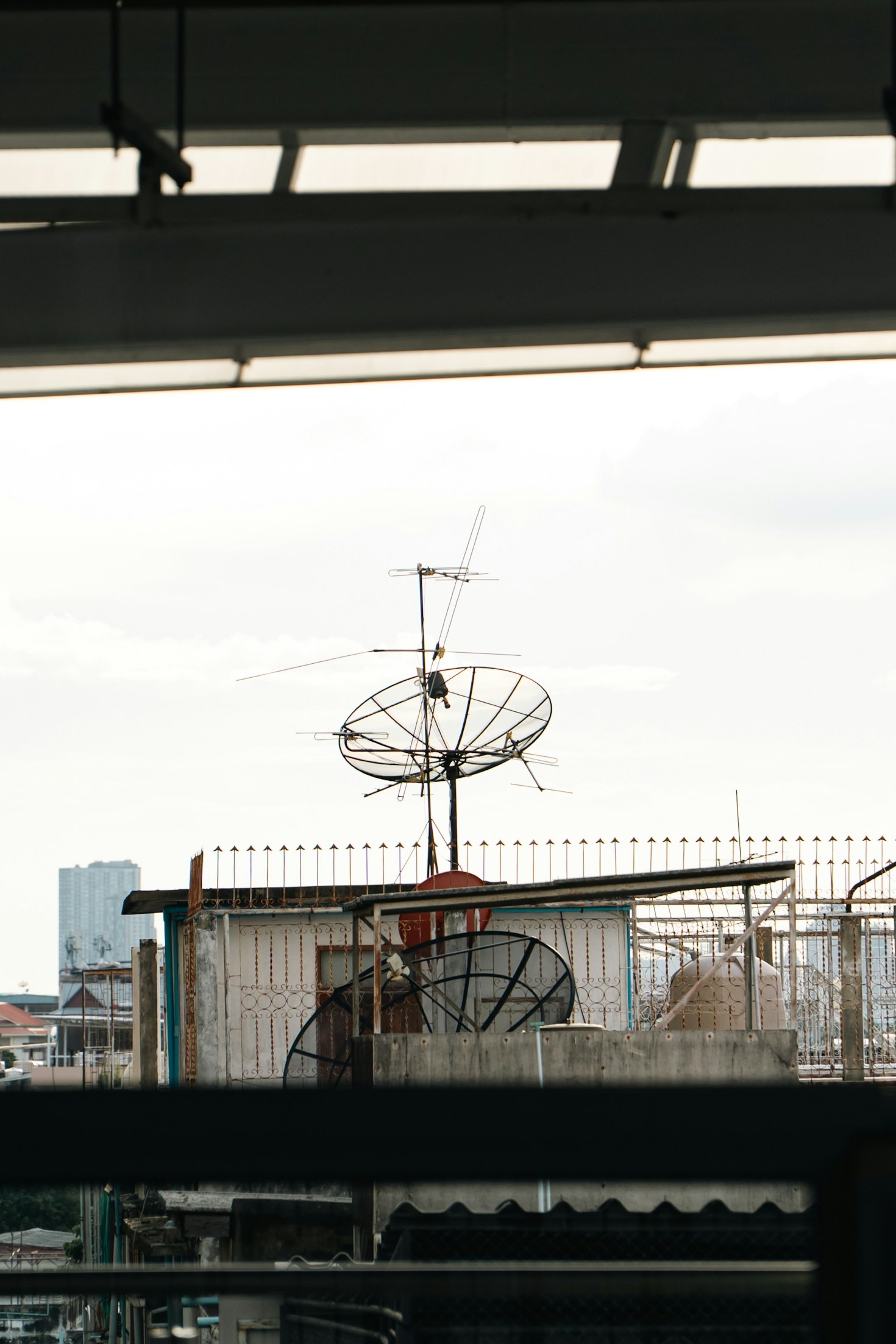 Cómo Starlink está revolucionando la conectividad rural